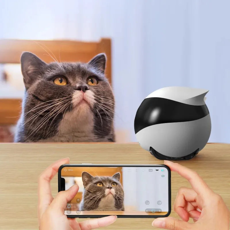 Enabot EBO Wireless Camera Robot Diversi Fusion™